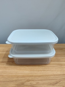 Conjunto 02 potes de plástico retangulares 26x19cm  2,5l.
